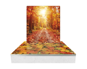 MCRA_AUTOMNE_NEW-980x783